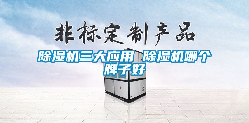 除濕機(jī)三大應(yīng)用 除濕機(jī)哪個牌子好