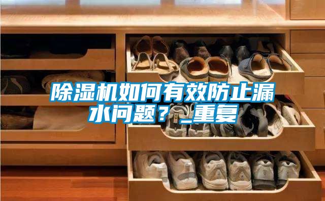 除濕機(jī)如何有效防止漏水問(wèn)題？_重復(fù)
