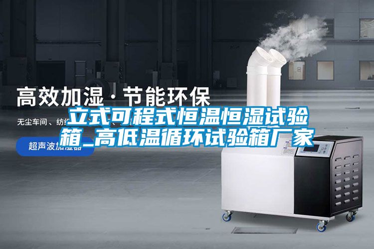 立式可程式恒溫恒濕試驗(yàn)箱_高低溫循環(huán)試驗(yàn)箱廠(chǎng)家