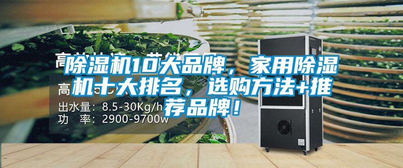除濕機10大品牌，家用除濕機十大排名，選購方法+推薦品牌！
