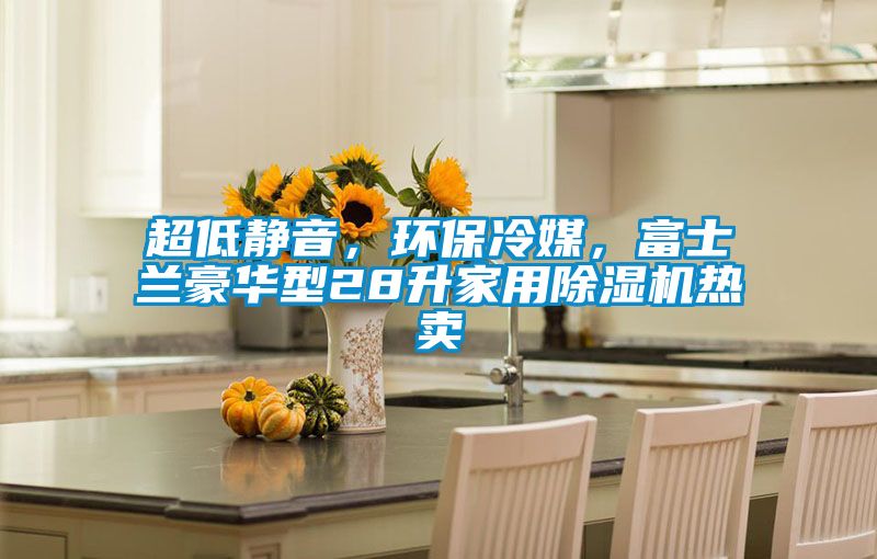 超低靜音，環(huán)保冷媒，富士蘭豪華型28升家用除濕機熱賣