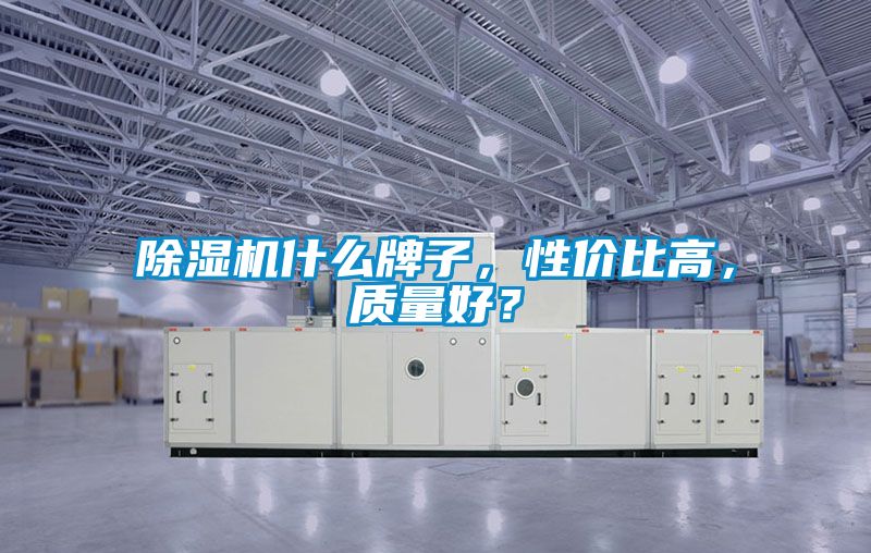 除濕機(jī)什么牌子，性價比高，質(zhì)量好？