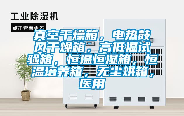 真空干燥箱，電熱鼓風(fēng)干燥箱，高低溫試驗(yàn)箱，恒溫恒濕箱，恒溫培養(yǎng)箱，無(wú)塵烘箱，醫(yī)用
