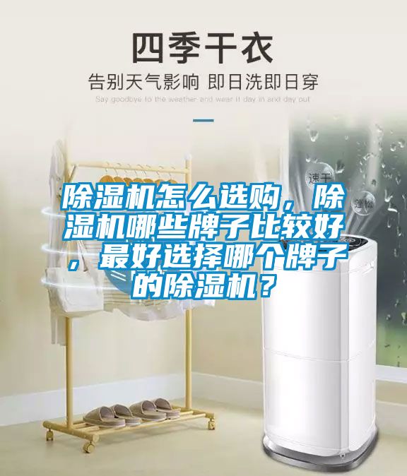 除濕機(jī)怎么選購，除濕機(jī)哪些牌子比較好，最好選擇哪個(gè)牌子的除濕機(jī)？