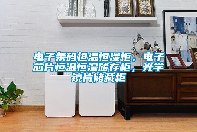 電子條碼恒溫恒濕柜，電子芯片恒溫恒濕儲(chǔ)存柜，光學(xué)鏡片儲(chǔ)藏柜