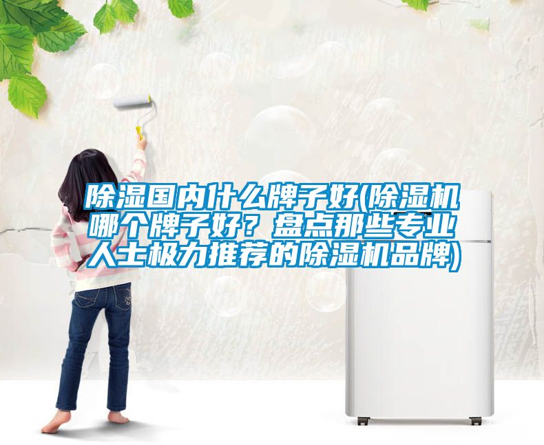 除濕國內什么牌子好(除濕機哪個牌子好？盤點那些專業(yè)人士極力推薦的除濕機品牌)