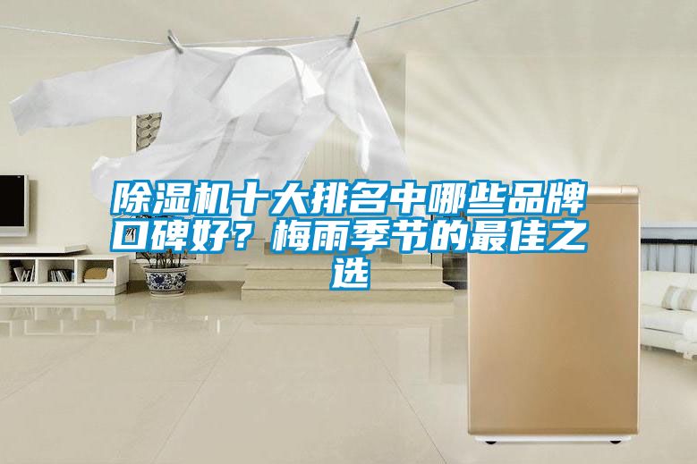 除濕機(jī)十大排名中哪些品牌口碑好？梅雨季節(jié)的最佳之選