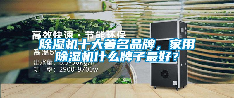 除濕機(jī)十大著名品牌，家用除濕機(jī)什么牌子最好？