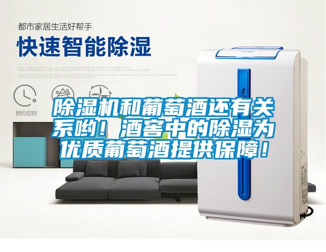 除濕機(jī)和葡萄酒還有關(guān)系喲！酒窖中的除濕為優(yōu)質(zhì)葡萄酒提供保障！