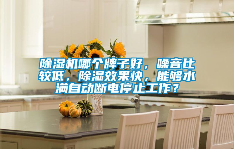 除濕機(jī)哪個(gè)牌子好，噪音比較低，除濕效果快，能夠水滿自動(dòng)斷電停止工作？