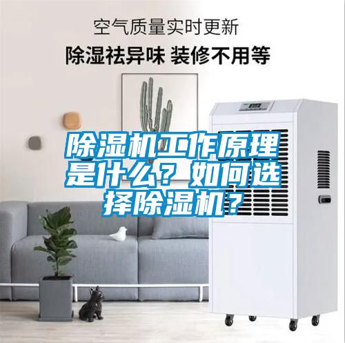 除濕機(jī)工作原理是什么？如何選擇除濕機(jī)？