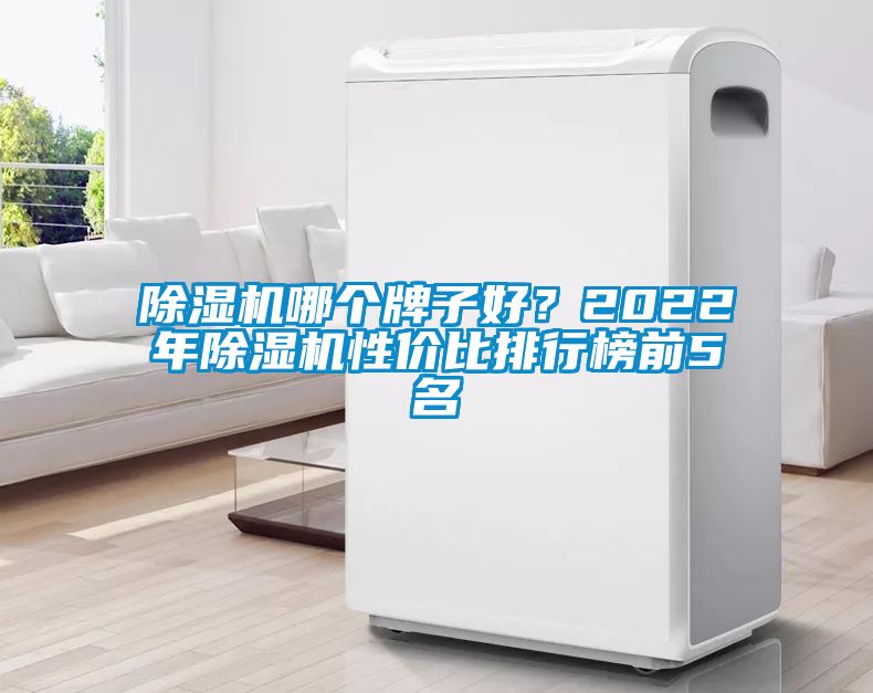 除濕機(jī)哪個(gè)牌子好？2022年除濕機(jī)性價(jià)比排行榜前5名