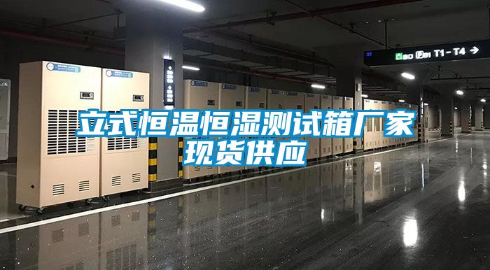 立式恒溫恒濕測(cè)試箱廠(chǎng)家現(xiàn)貨供應(yīng)