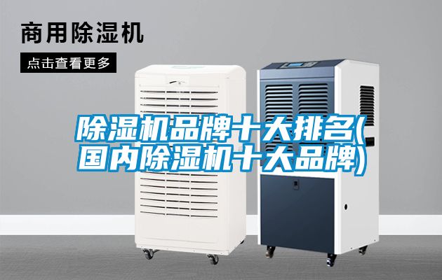 除濕機(jī)品牌十大排名(國內(nèi)除濕機(jī)十大品牌)