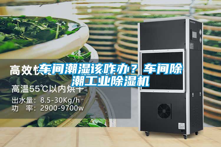 車間潮濕該咋辦？車間除潮工業(yè)除濕機