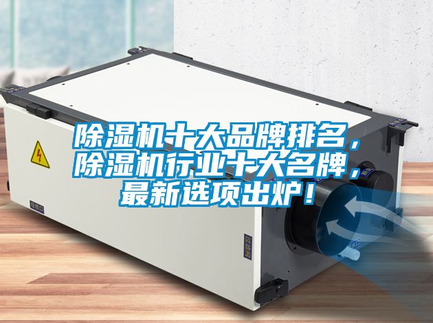 除濕機(jī)十大品牌排名，除濕機(jī)行業(yè)十大名牌，最新選項(xiàng)出爐！