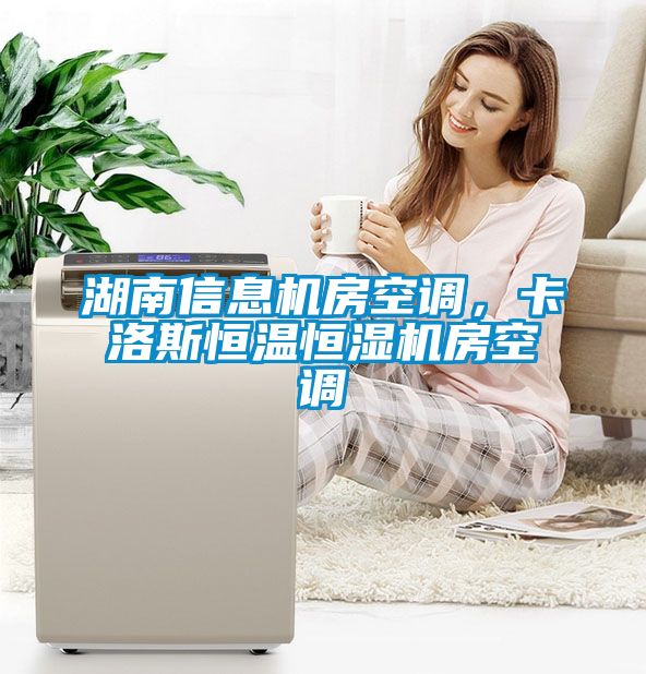 湖南信息機房空調(diào)，卡洛斯恒溫恒濕機房空調(diào)