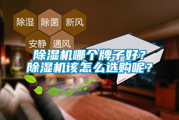 除濕機(jī)哪個(gè)牌子好？除濕機(jī)該怎么選購(gòu)呢？