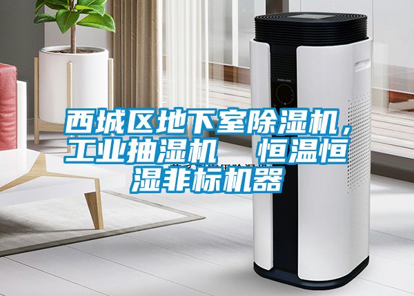 西城區(qū)地下室除濕機，工業(yè)抽濕機  恒溫恒濕非標機器