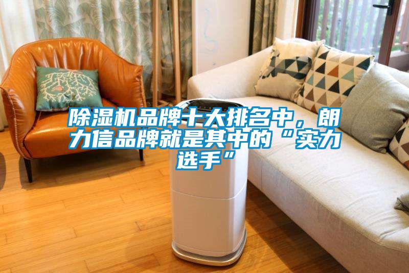 除濕機(jī)品牌十大排名中，朗力信品牌就是其中的“實(shí)力選手”