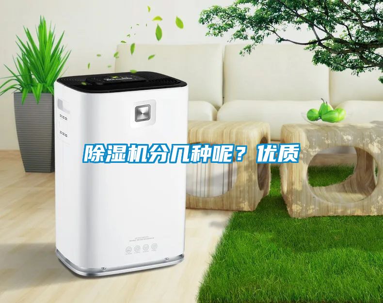 除濕機(jī)分幾種呢？優(yōu)質(zhì)