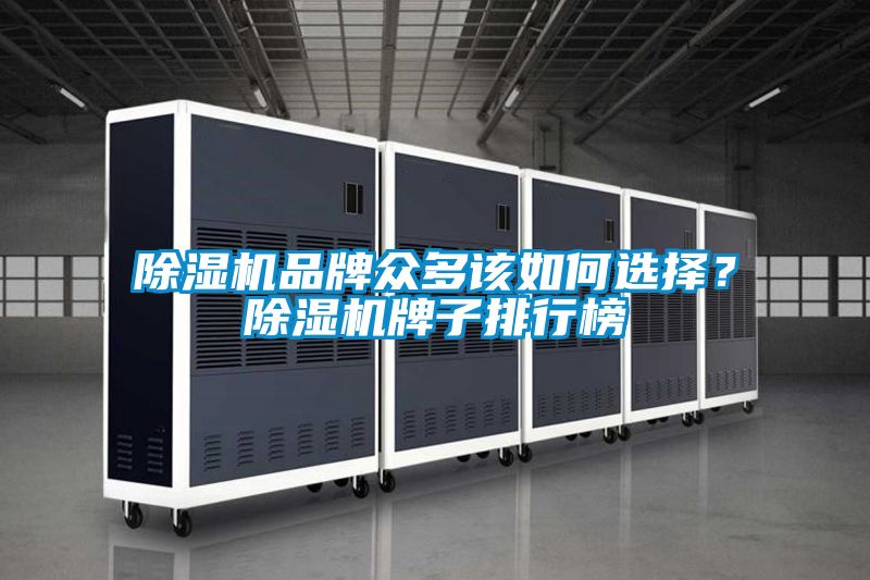 除濕機(jī)品牌眾多該如何選擇？除濕機(jī)牌子排行榜