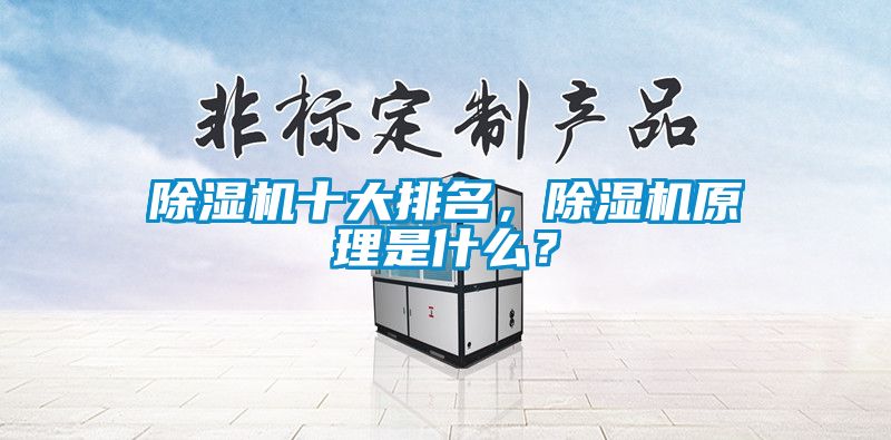 除濕機十大排名，除濕機原理是什么？