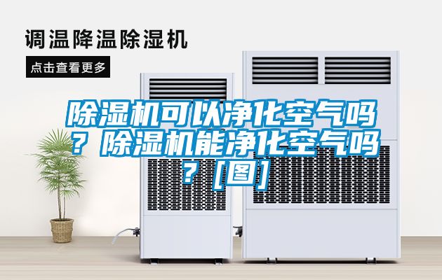 除濕機(jī)可以凈化空氣嗎？除濕機(jī)能凈化空氣嗎？[圖]