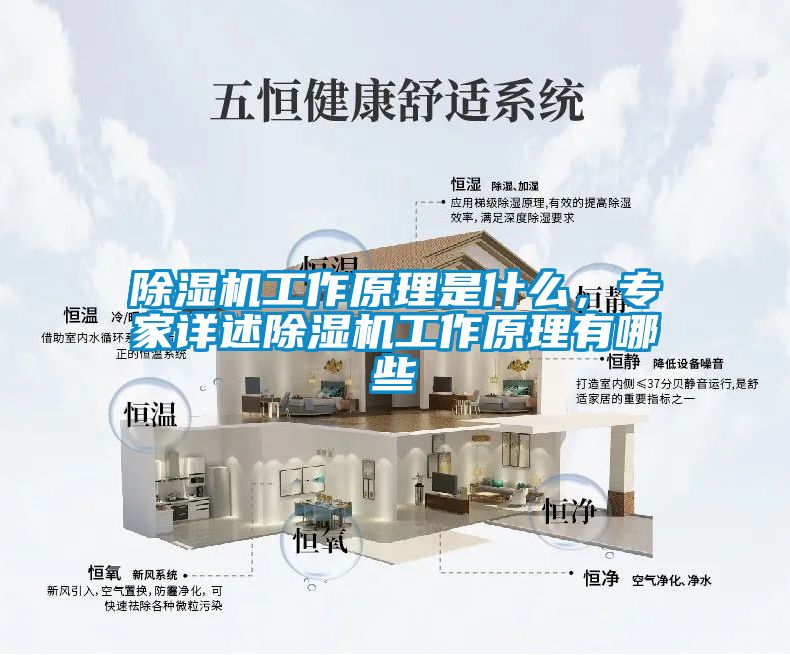 除濕機(jī)工作原理是什么，專家詳述除濕機(jī)工作原理有哪些