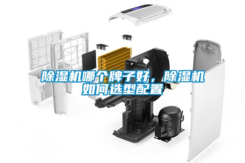 除濕機(jī)哪個(gè)牌子好，除濕機(jī)如何選型配置