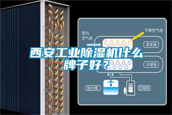 西安工業(yè)除濕機什么牌子好？