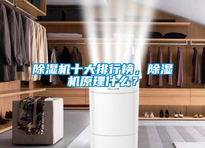 除濕機(jī)十大排行榜，除濕機(jī)原理什么？