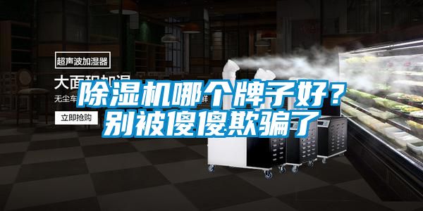 除濕機(jī)哪個(gè)牌子好？別被傻傻欺騙了