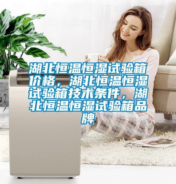 湖北恒溫恒濕試驗箱價格，湖北恒溫恒濕試驗箱技術(shù)條件，湖北恒溫恒濕試驗箱品牌