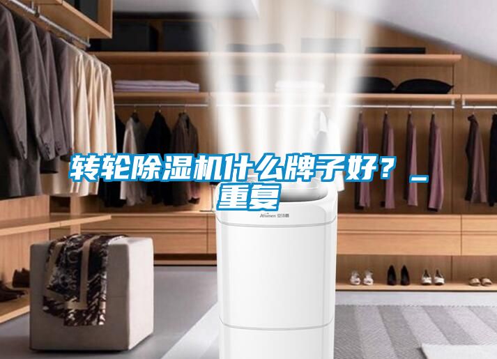 轉(zhuǎn)輪除濕機什么牌子好？_重復(fù)