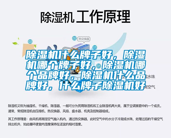 除濕機什么牌子好，除濕機哪個牌子好，除濕機哪個品牌好，除濕機什么品牌好，什么牌子除濕機好