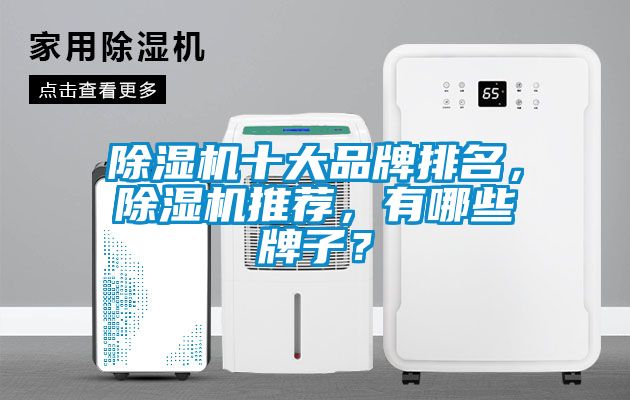 除濕機(jī)十大品牌排名，除濕機(jī)推薦，有哪些牌子？