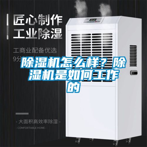 除濕機(jī)怎么樣？除濕機(jī)是如何工作的