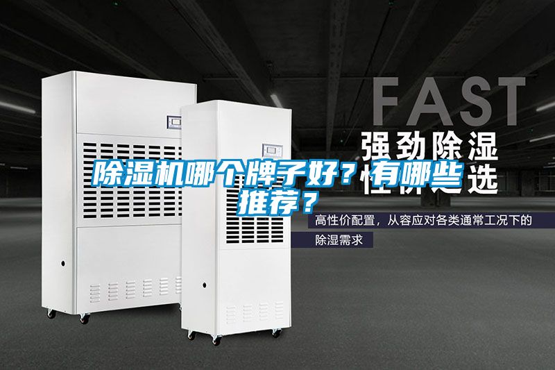 除濕機(jī)哪個牌子好？有哪些推薦？