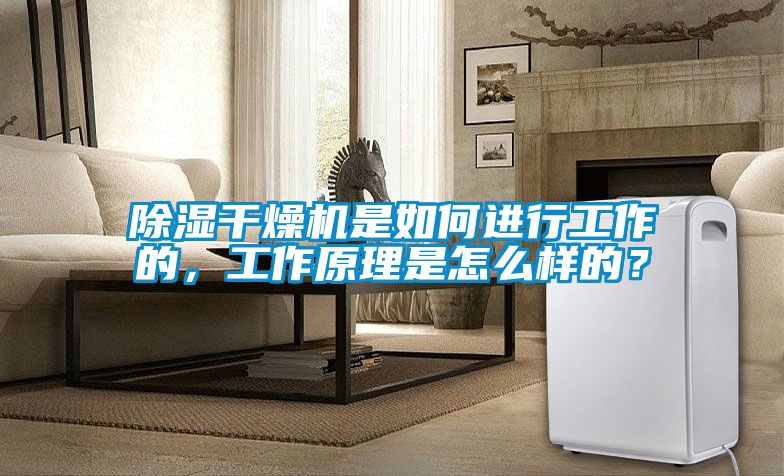 除濕干燥機(jī)是如何進(jìn)行工作的，工作原理是怎么樣的？