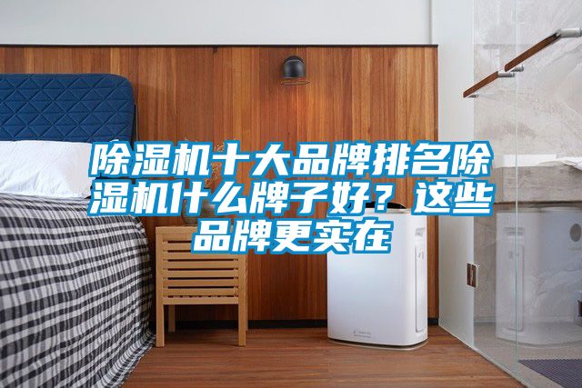 除濕機(jī)十大品牌排名除濕機(jī)什么牌子好？這些品牌更實(shí)在