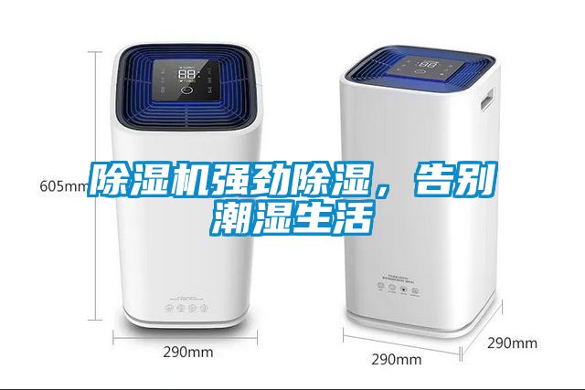 除濕機強勁除濕，告別潮濕生活