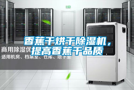香蕉干烘干除濕機(jī)，提高香蕉干品質(zhì)