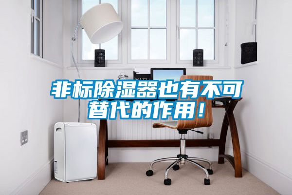 非標(biāo)除濕器也有不可替代的作用！