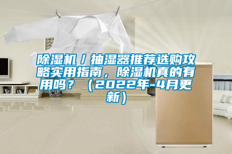 除濕機(jī)／抽濕器推薦選購攻略實(shí)用指南，除濕機(jī)真的有用嗎？（2022年-4月更新）