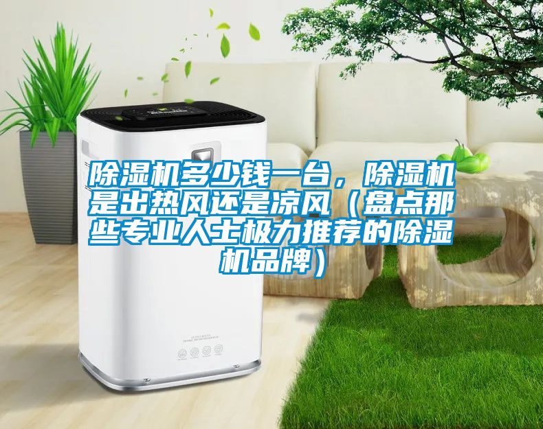 除濕機(jī)多少錢一臺(tái)，除濕機(jī)是出熱風(fēng)還是涼風(fēng)（盤點(diǎn)那些專業(yè)人士極力推薦的除濕機(jī)品牌）