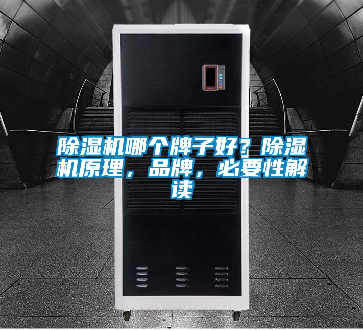 除濕機哪個牌子好？除濕機原理，品牌，必要性解讀