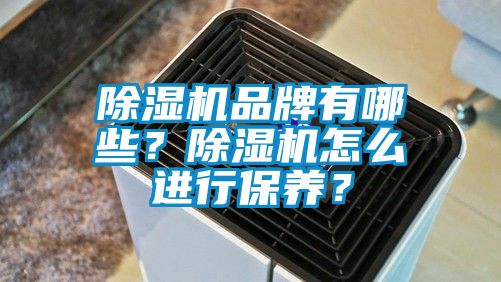 除濕機品牌有哪些？除濕機怎么進行保養(yǎng)？