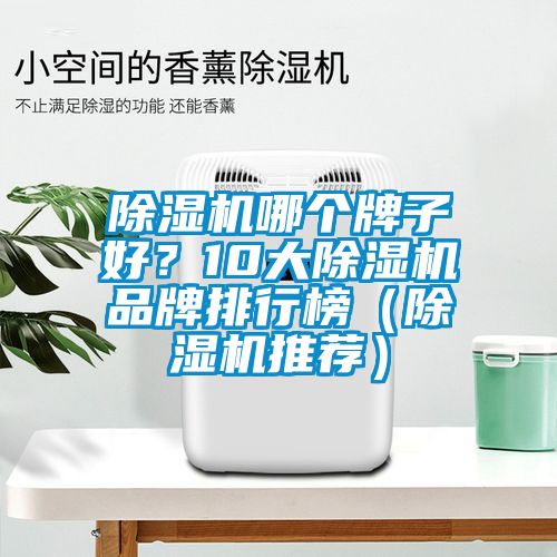 除濕機(jī)哪個牌子好？10大除濕機(jī)品牌排行榜（除濕機(jī)推薦）