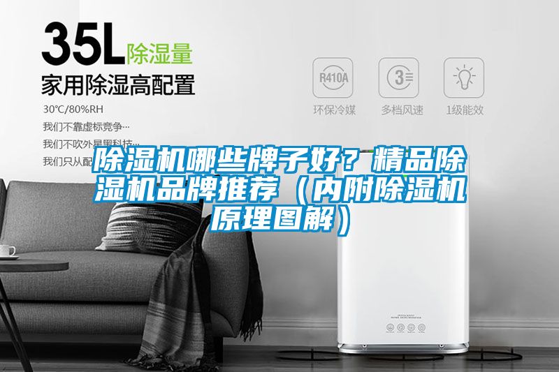除濕機哪些牌子好？精品除濕機品牌推薦（內(nèi)附除濕機原理圖解）